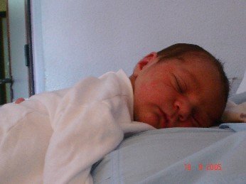 Apenas unas horas de vida